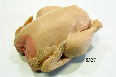 Hähnchen frisch Lebensmittelattrappe 