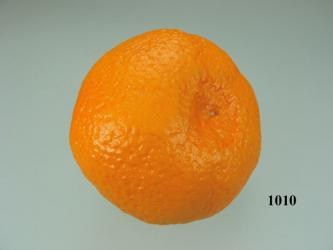 Clementine  Lebensmittelattrappe 