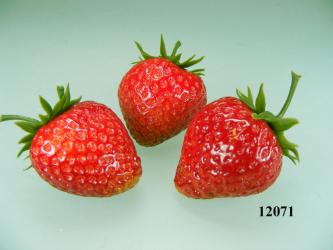 Erdbeeren (3 Stück) aus Sort. 1207  Lebensmittelattrappe 