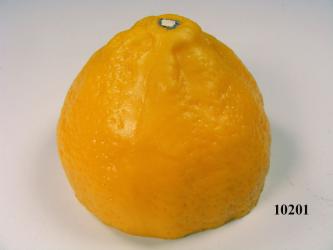 Zitrone 1/2 Lebensmittelattrappe 