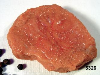 Schweinefilet roh Lebensmittelattrappe 