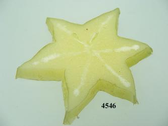 Karambole-Stern grün 