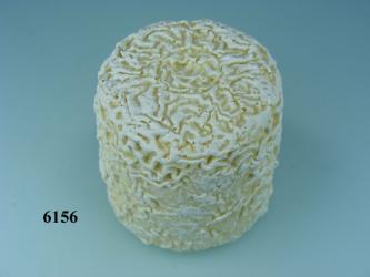 Ziegenkäse  natur 