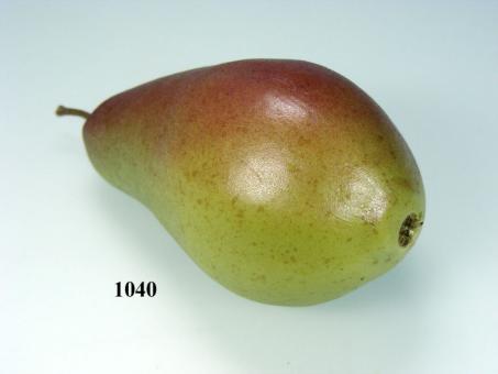 pear Alexander 