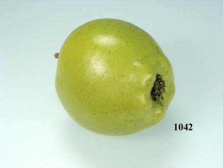 grüner Apfel klein 