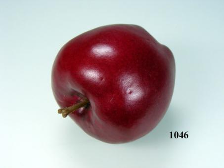 Nikolaus-Apfel dunkelrot 