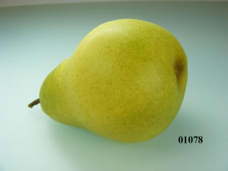 pear green medium 