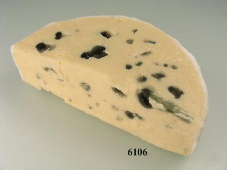 a piece of mold cheese 