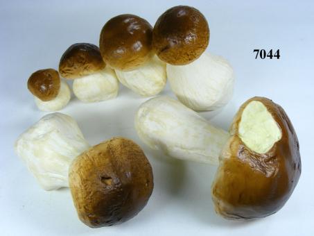 edible boletus, assortiment 