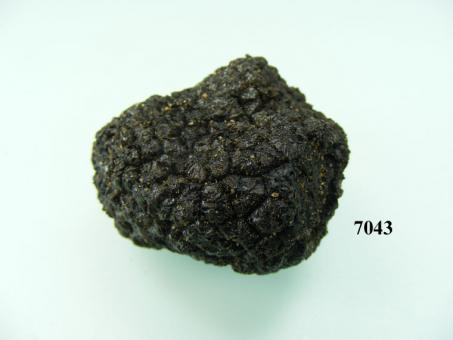 truffle black small 