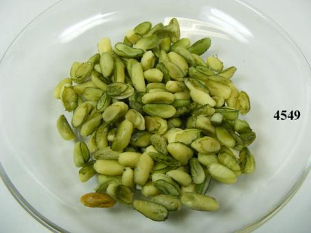 pistachio ( 50 grs. ) 