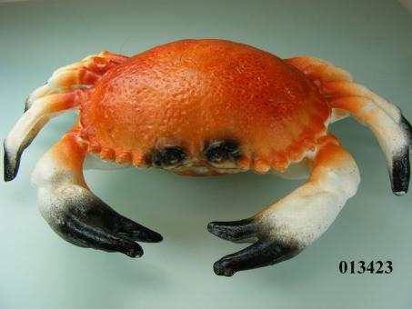 crab medium 