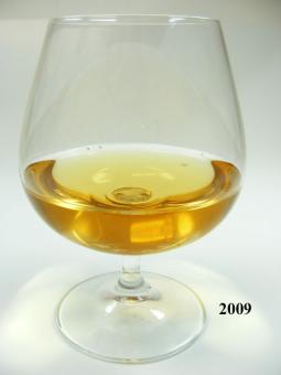Cognac (echtes Glas) 