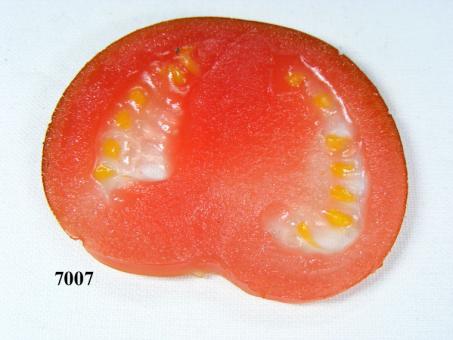 sclise of tomato 