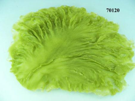 lettuce leaf  frisee 