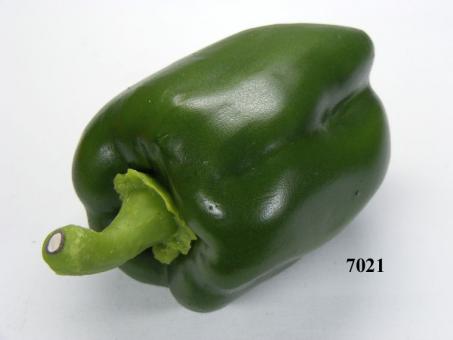 Paprika grün 