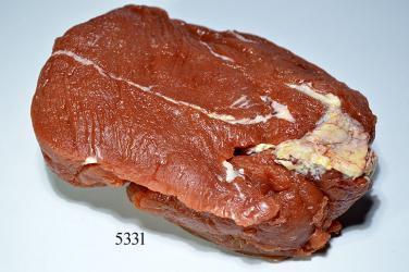 Suppenfleisch Lebensmittelattrappe 